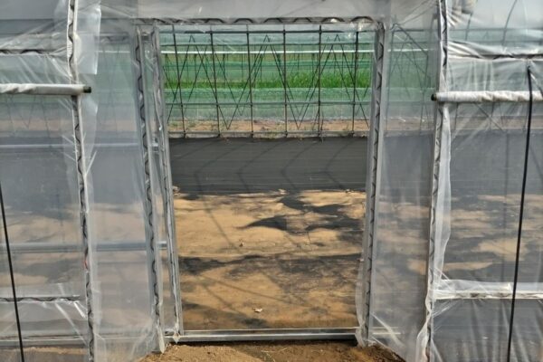 茨城県　農業用ハウスの側面にドアを設置｜茨城・栃木 スマート農業ナビ