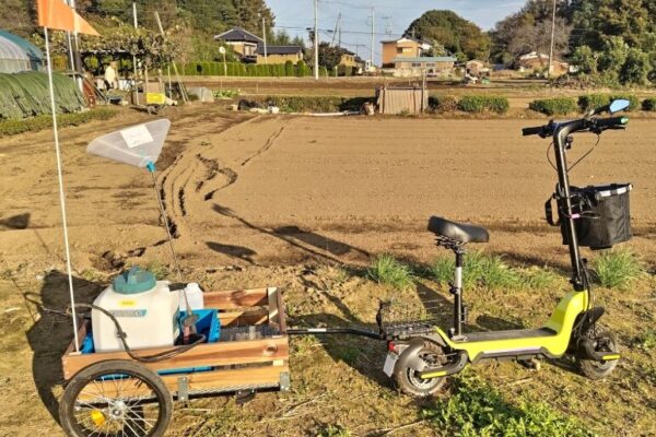ねぎ｜茨城・栃木 スマート農業ナビ