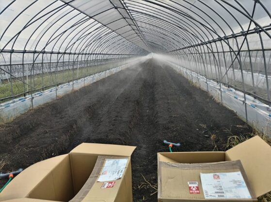 栃木県 自動灌水ユニットとウオーターカーテンハウスの導入 - 茨城
